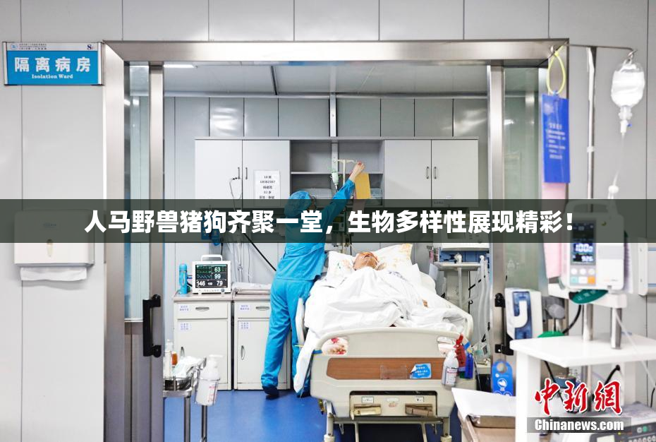 人马野兽猪狗齐聚一堂，生物多样性展现精彩！
