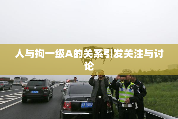 人与拘一级A的关系引发关注与讨论