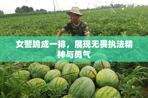 女警跪成一排，展现无畏执法精神与勇气