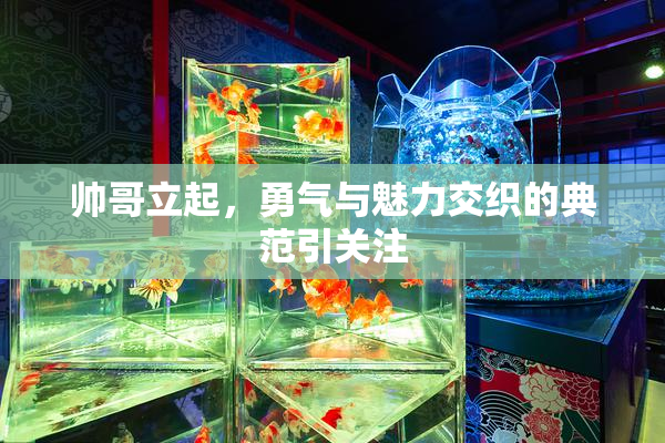 帅哥立起，勇气与魅力交织的典范引关注