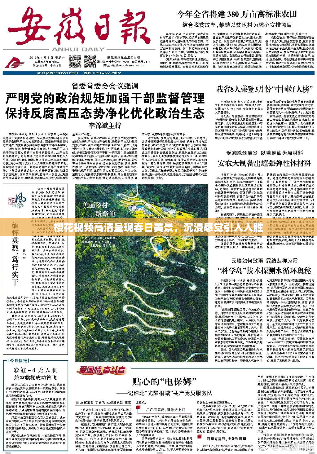 樱花视频高清呈现春日美景，沉浸感觉引人入胜
