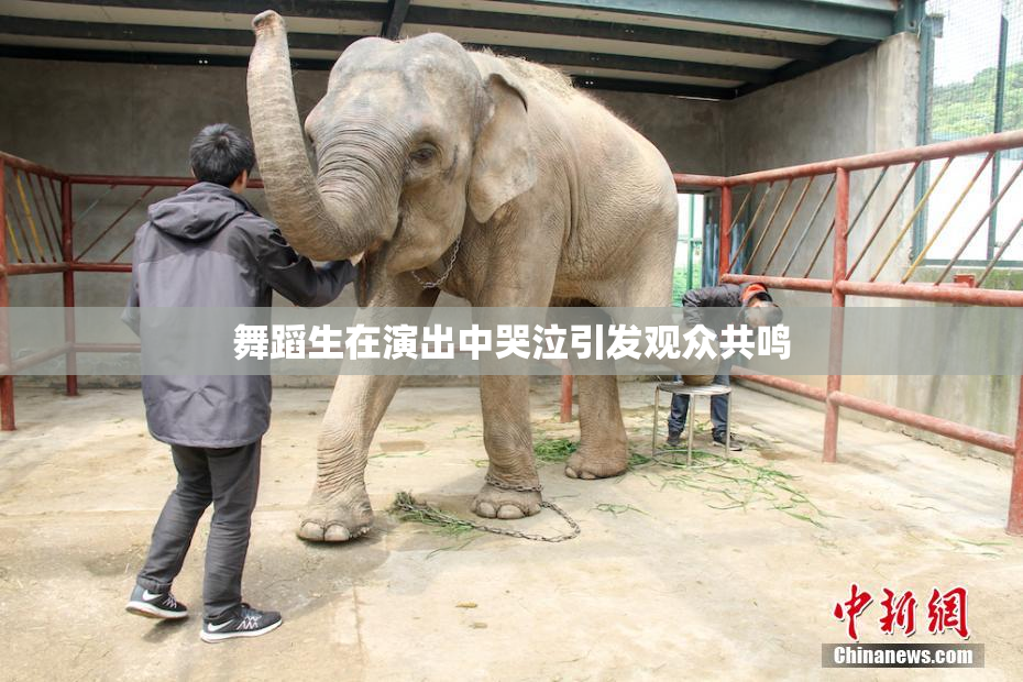 舞蹈生在演出中哭泣引发观众共鸣