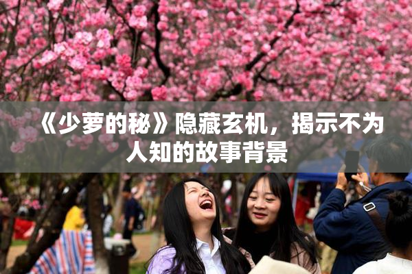 《少萝的秘》隐藏玄机，揭示不为人知的故事背景