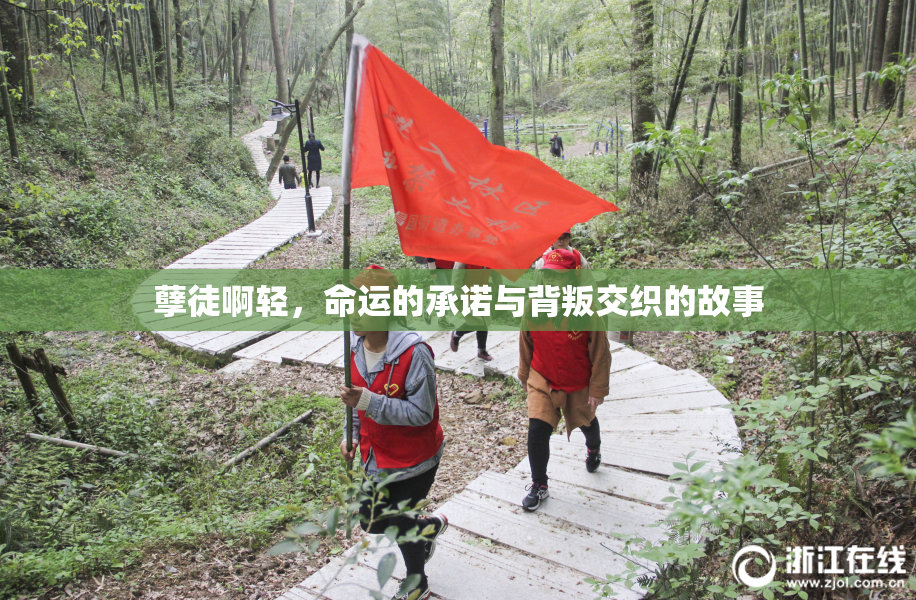 孽徒啊轻，命运的承诺与背叛交织的故事