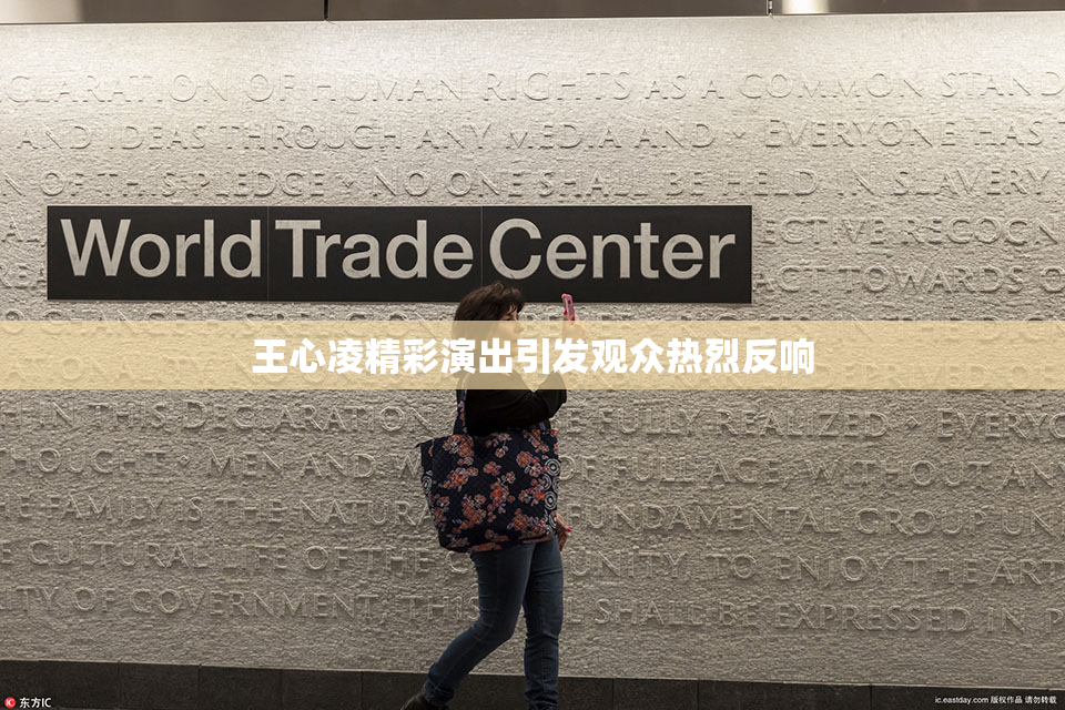 王心凌精彩演出引发观众热烈反响