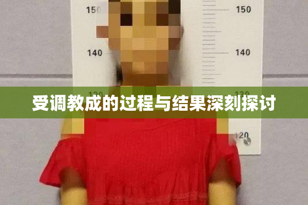 受调教成的过程与结果深刻探讨