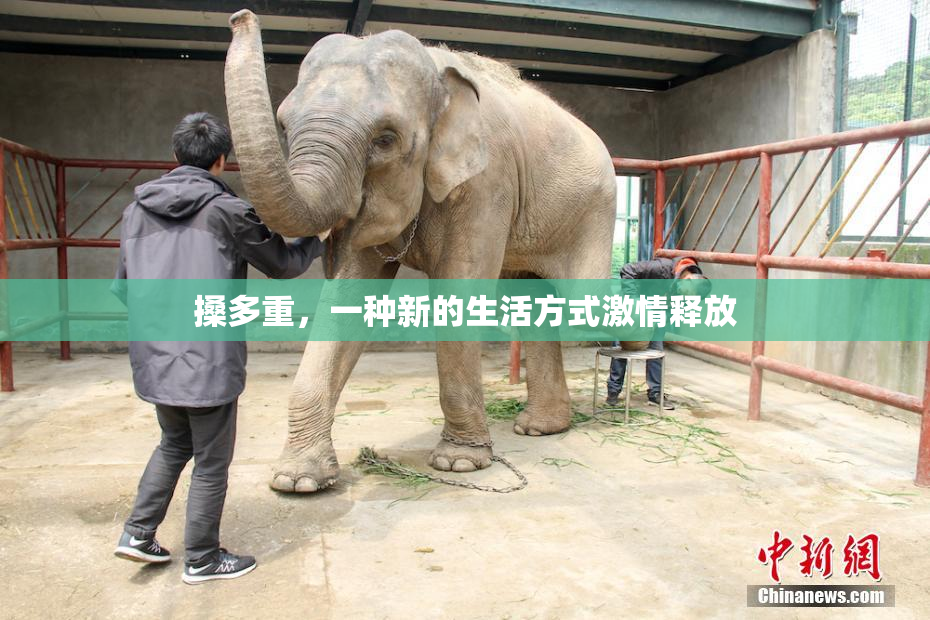搡多重，一种新的生活方式激情释放