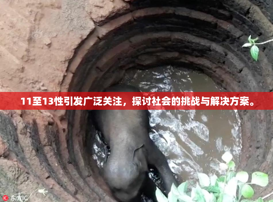 11至13性引发广泛关注，探讨社会的挑战与解决方案。