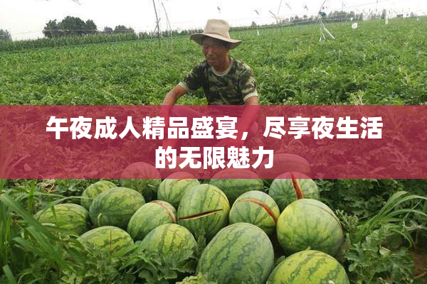 午夜成人精品盛宴，尽享夜生活的无限魅力