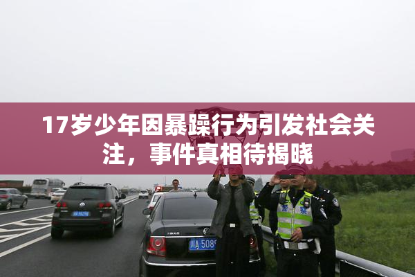17岁少年因暴躁行为引发社会关注，事件真相待揭晓