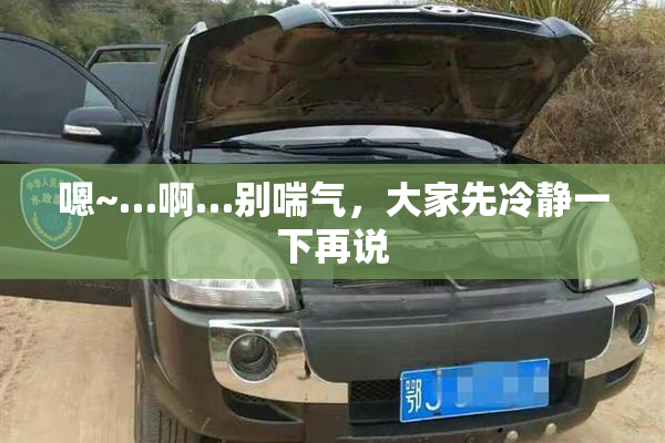 嗯~…啊…别喘气，大家先冷静一下再说