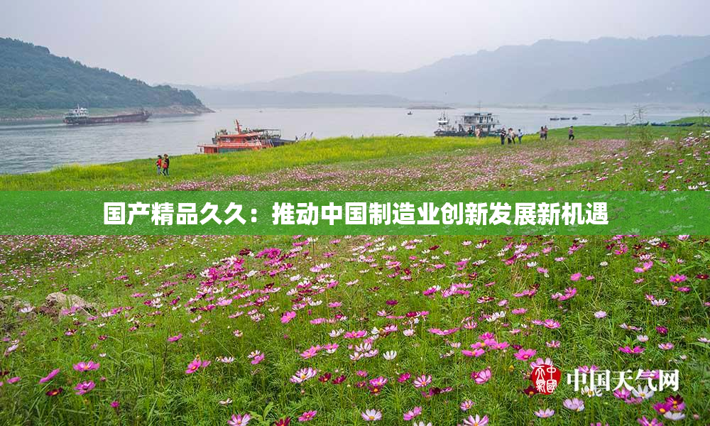 国产精品久久：推动中国制造业创新发展新机遇
