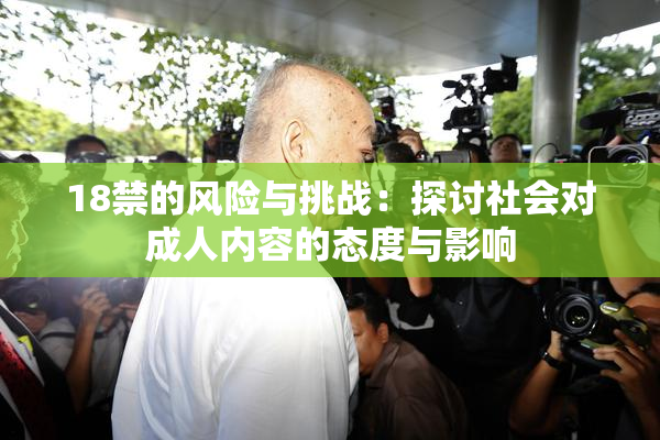 18禁的风险与挑战：探讨社会对成人内容的态度与影响