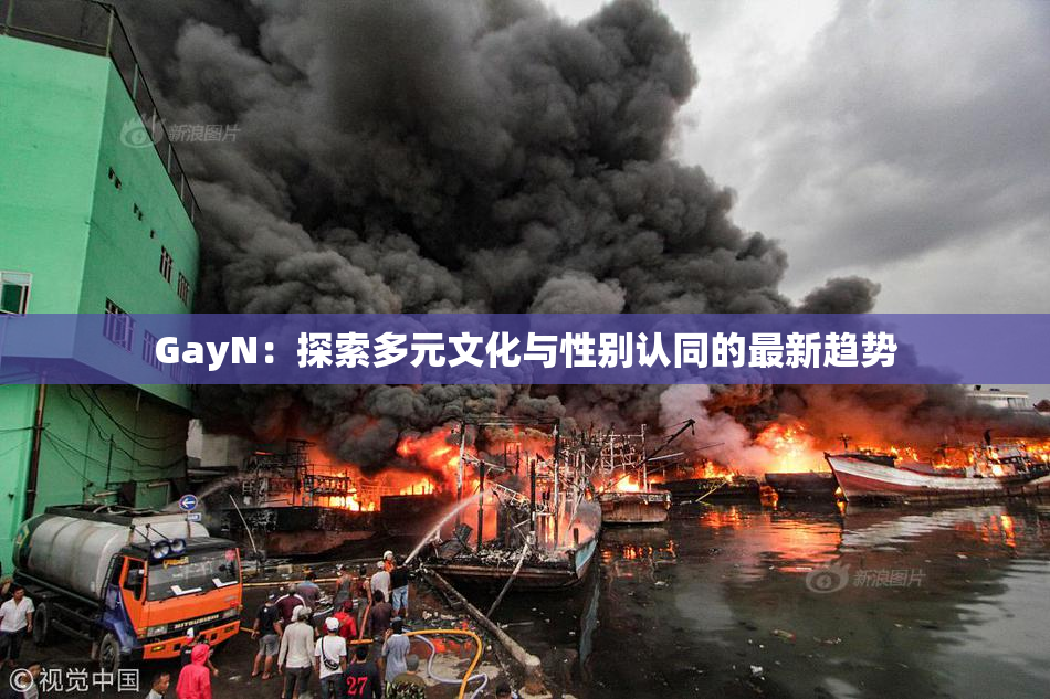 GayN：探索多元文化与性别认同的最新趋势