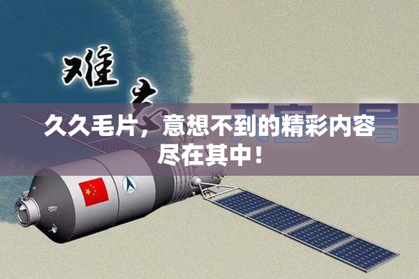 久久毛片，意想不到的精彩内容尽在其中！