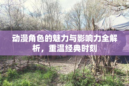 动漫角色的魅力与影响力全解析，重温经典时刻