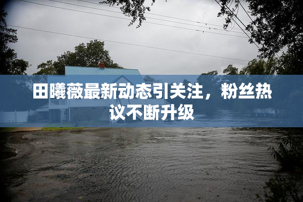 田曦薇最新动态引关注，粉丝热议不断升级