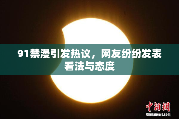 91禁漫引发热议，网友纷纷发表看法与态度