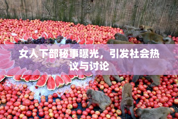 女人下部秘事曝光，引发社会热议与讨论