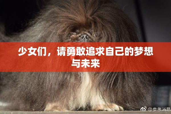 少女们，请勇敢追求自己的梦想与未来