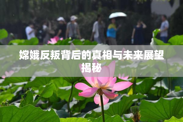 嫦娥反叛背后的真相与未来展望揭秘
