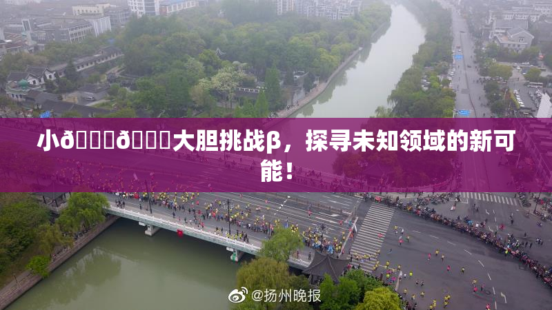 小🐔🐔大胆挑战β，探寻未知领域的新可能！