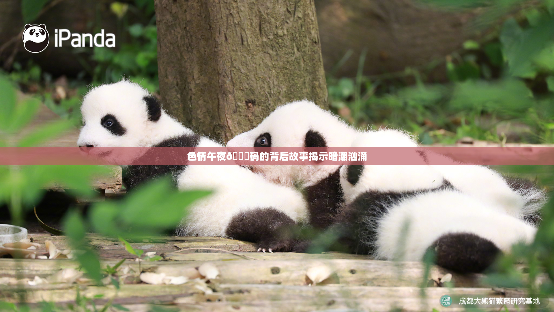 色情午夜🈚码的背后故事揭示暗潮汹涌