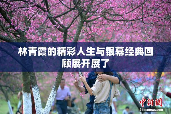 林青霞的精彩人生与银幕经典回顾展开展了