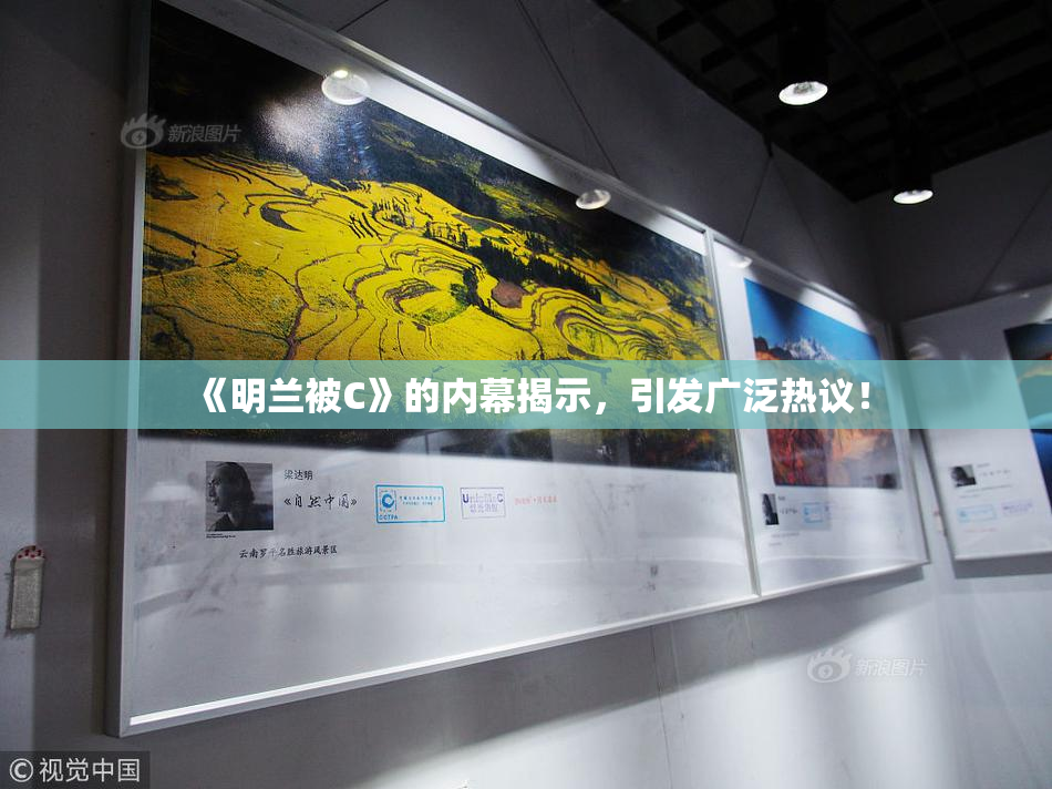 《明兰被C》的内幕揭示，引发广泛热议！