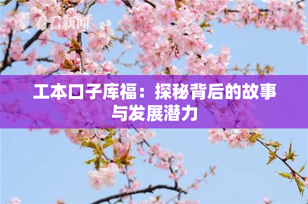 工本口子库福：探秘背后的故事与发展潜力