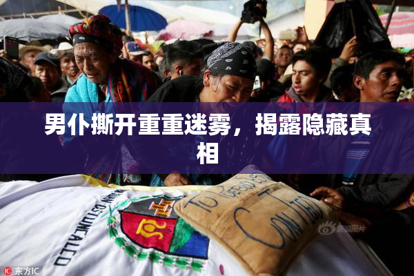 男仆撕开重重迷雾，揭露隐藏真相