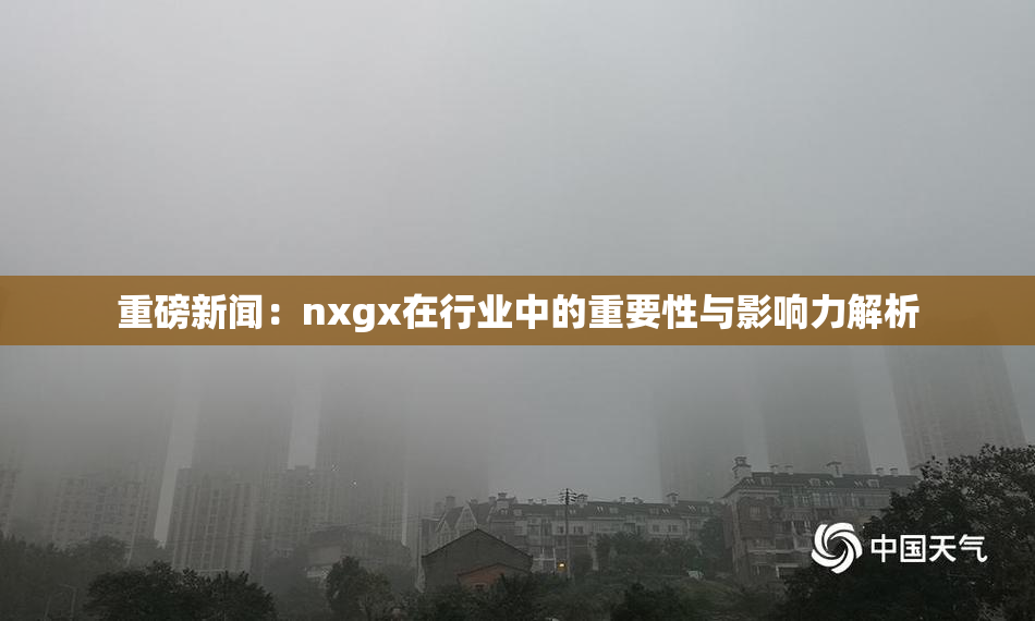 重磅新闻：nxgx在行业中的重要性与影响力解析