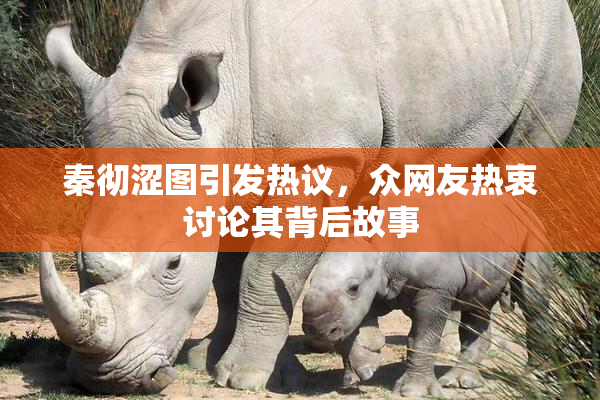 秦彻涩图引发热议，众网友热衷讨论其背后故事
