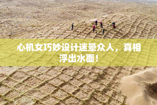 心机女巧妙设计迷晕众人，真相浮出水面！