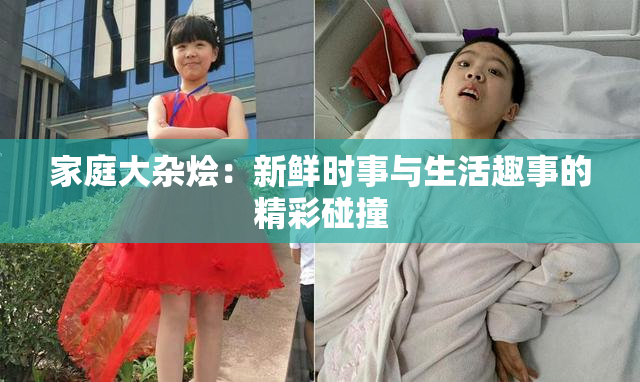 家庭大杂烩：新鲜时事与生活趣事的精彩碰撞