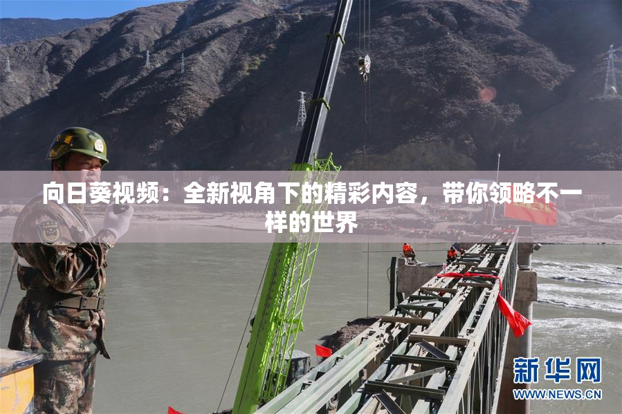 向日葵视频：全新视角下的精彩内容，带你领略不一样的世界
