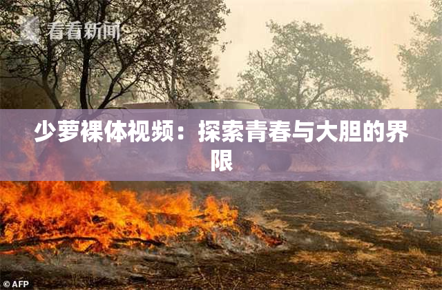 少萝裸体视频：探索青春与大胆的界限
