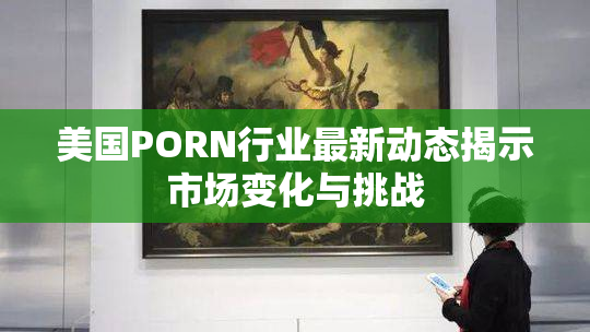美国PORN行业最新动态揭示市场变化与挑战