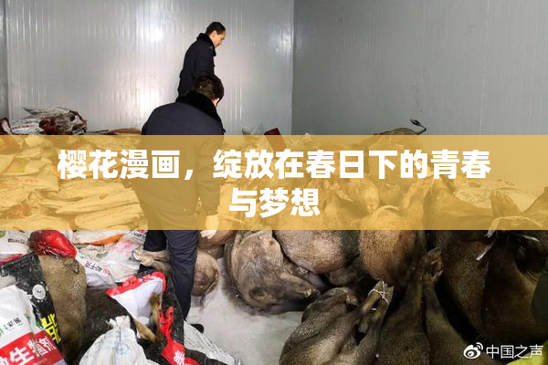 樱花漫画，绽放在春日下的青春与梦想