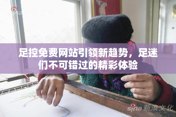 足控免费网站引领新趋势，足迷们不可错过的精彩体验