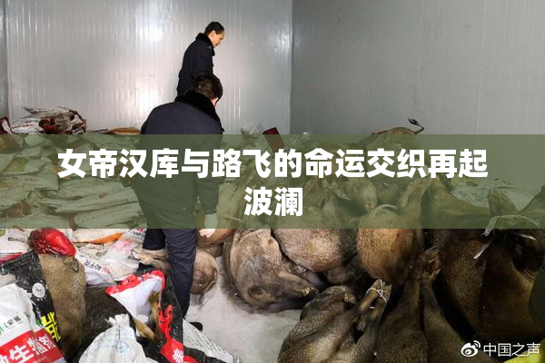 女帝汉库与路飞的命运交织再起波澜