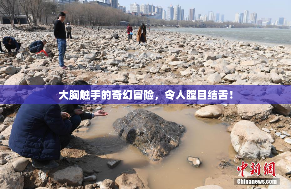 大胸触手的奇幻冒险，令人瞠目结舌！
