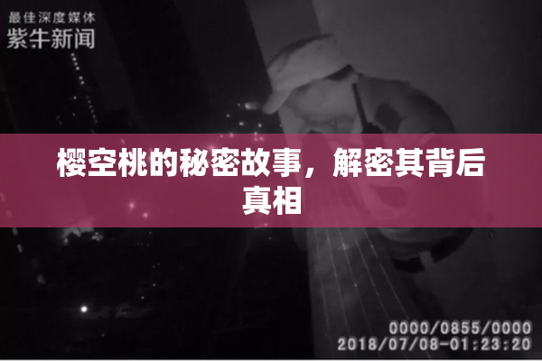 樱空桃的秘密故事，解密其背后真相