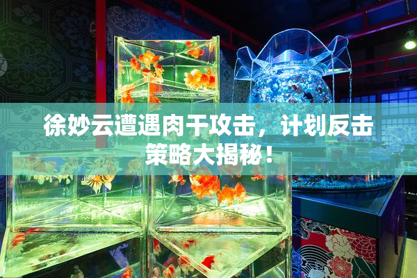 徐妙云遭遇肉干攻击，计划反击策略大揭秘！