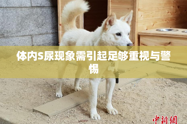 体内S尿现象需引起足够重视与警惕