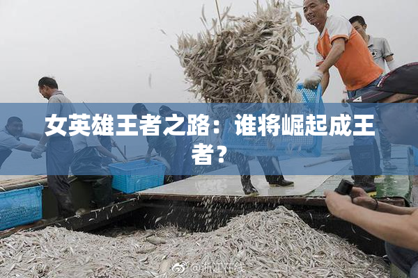 女英雄王者之路：谁将崛起成王者？