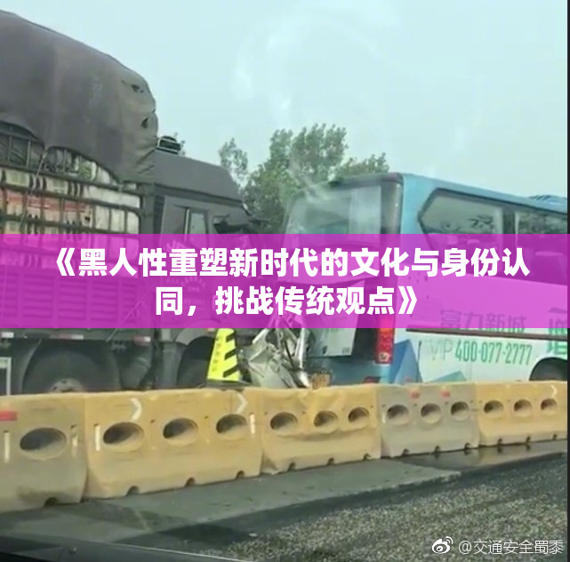 《黑人性重塑新时代的文化与身份认同，挑战传统观点》