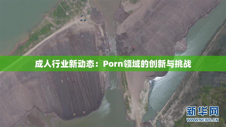 成人行业新动态：Porn领域的创新与挑战