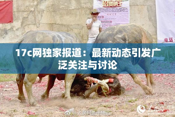 17c网独家报道：最新动态引发广泛关注与讨论