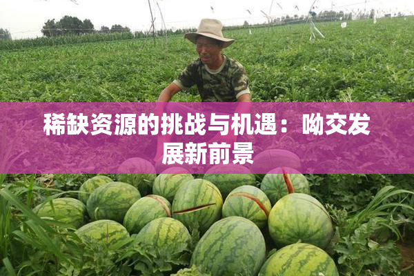 稀缺资源的挑战与机遇：呦交发展新前景